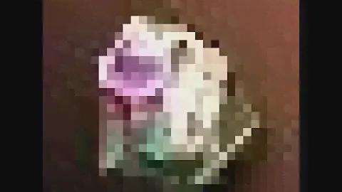 Where to find Vesper noble Enhancement Stones