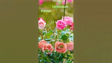 Le bouquet / Jacques Prévert #poèmes #fleurs
