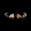 Noble Audio FoKus Triumph