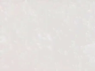 Noble Pro Frost-0