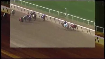 Noble Moon - TVG 2014 Kentucky Derby Profile