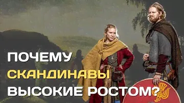 Почему скандинавы такие высокие?