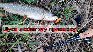 Ловля щуки на спиннинг в конце мая. Bixod N air и Duo Realis popper.
