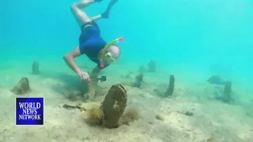 Croatian biologists tackle an underwater pandemic